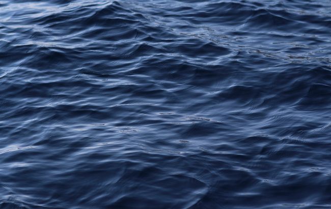 Эстонско-финский кабель связи поврежден людьми, рядом заметили судно РФ: расследование