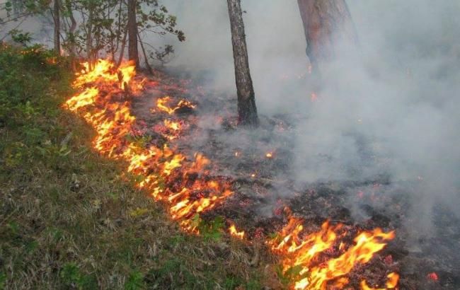 Синоптики попереджають про високий рівень пожежної небезпеки