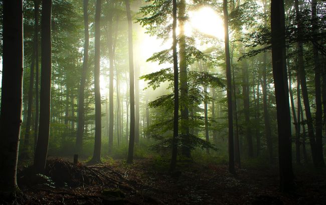 Ученые назвали новую глобальную угрозу для Земли