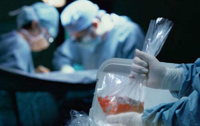 Парламент Нидерландов проголосовал за автоматическое донорство органов