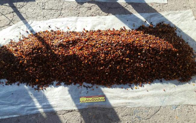 В Ровенской области изъяли партию янтаря на 1,5 млн гривен