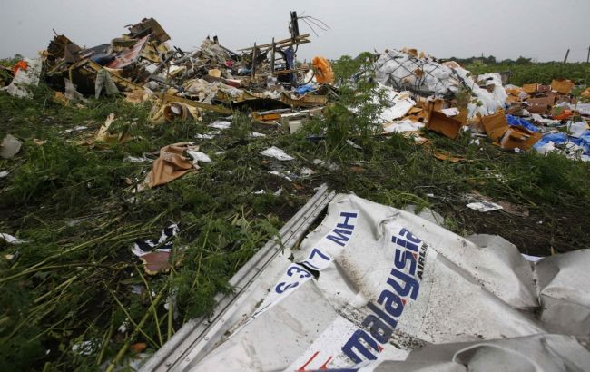 Парламент продлил миссию по расследованию катастрофы МН17 до августа 2017