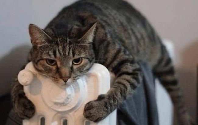 В Киеве к отоплению подключили 96% жилых домов