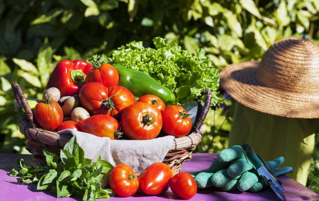 Сусіди помруть від заздрості: копійчаний засіб з аптеки для супер-врожаю на городі