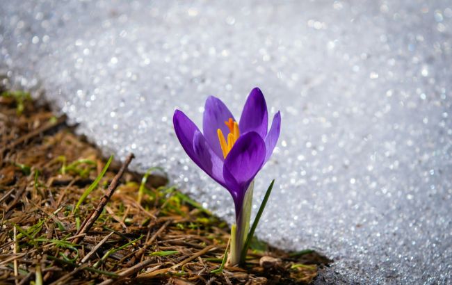 В Украине с апреля стартует "сезон тишины": что это такое и что будет под строгим запретом