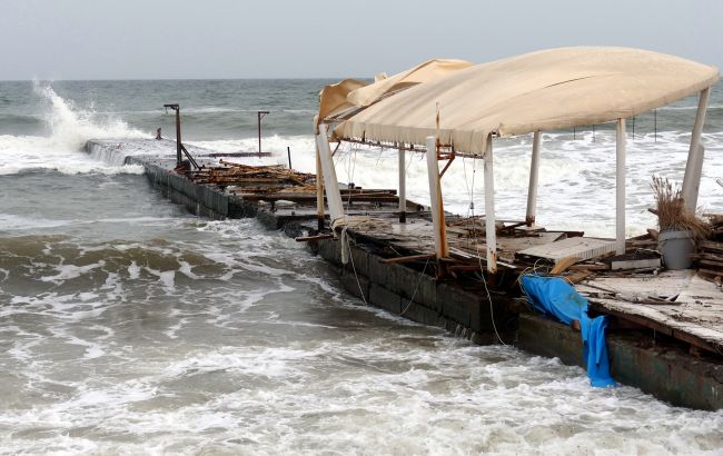 Чорне море задихається: вчений розповів, як війна змінила екосистему