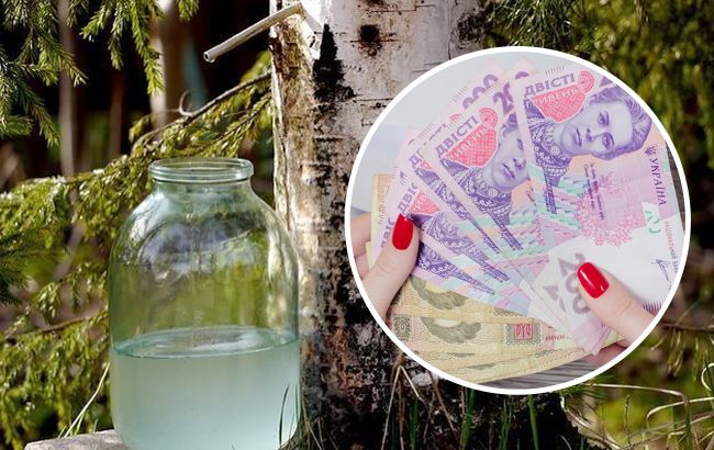 Українцям нагадали, за яке порушення весною доведеться заплатити чималий штраф