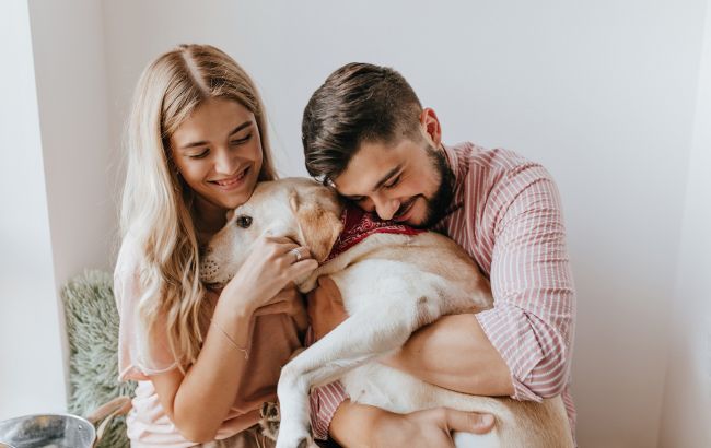 Топ-5 пород собак для новичков: ветеринар назвала лучших питомцев