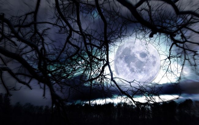 Ритуал на Полную Луну (иллюстрация: freepik.com)