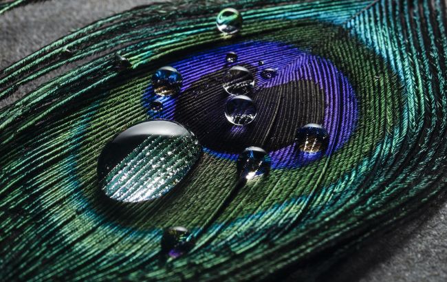 Тільки ці знаки Зодіаку почнуть все з чистого аркуша. Кому чекати на подарунки від Всесвіту