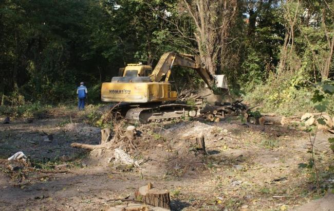 Активісти заявляють про незаконну вирубку дерев під висотне будівництво на вул. Ломоносова в Києві