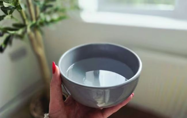 Ось для чого треба залишати миску з водою у вітальні та спальні взимку