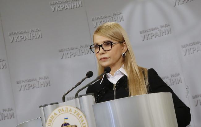 "Батькивщина" требует отменить е-декларирование для общественных активистов