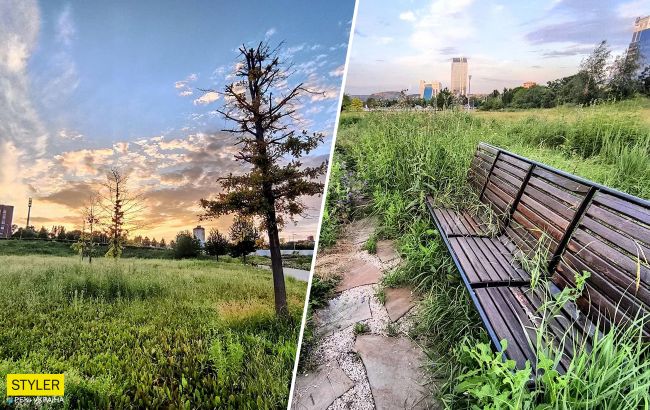 Появились свежие фото "Донбасс-Арены", куда боятся заходить люди: печальные кадры