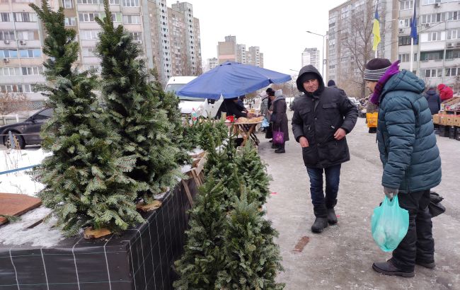 Покарають продавця і покупця: які штрафи передбачені за незаконну вирубку та купівлю ялинок