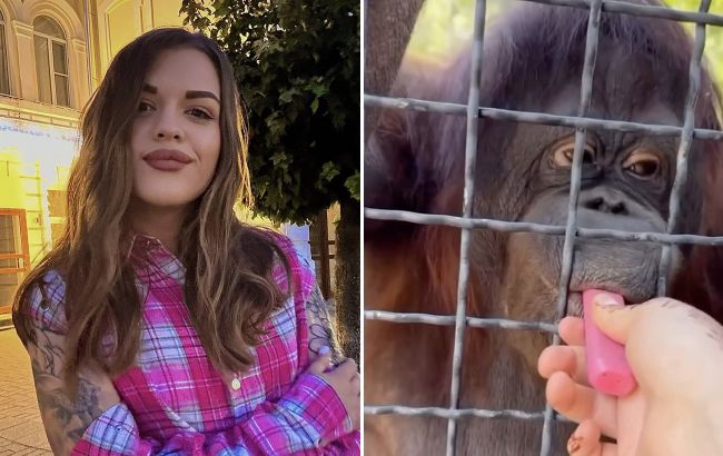 Російська боксерка втрапила у великий скандал: змусила орангутанга курити вейп