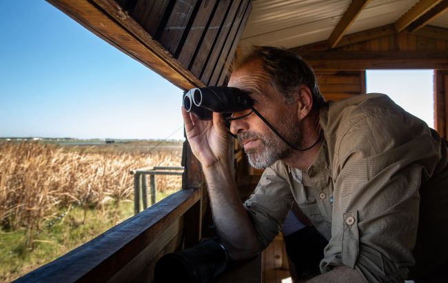 Рідкісний співочий птах зникає: в Україні починають місію порятунку