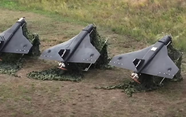 Несуть серйозну шкоду: у Повітряних силах розповіли про небезпеку дронів типу "Гербера"