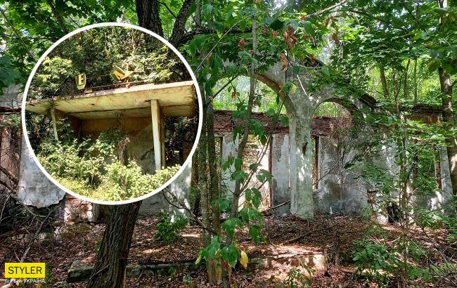 Смотрите, как выглядит заброшенное село Чернобыльской зоны: природа берет свое!