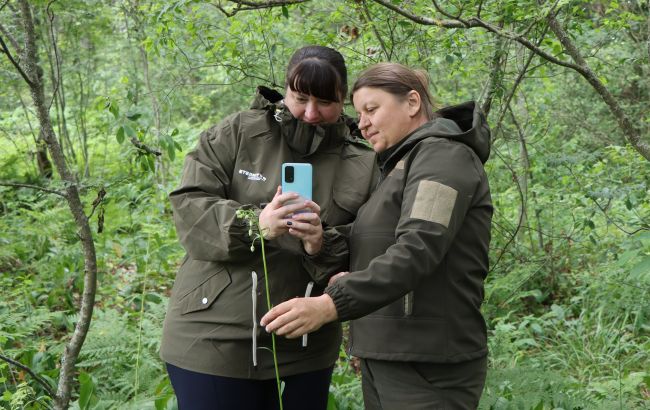 Кожна - на вагу золота: українцям показали рідкісну лісову квітку (фото)