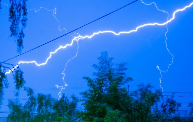 5 дерев, які найчастіше притягують блискавку: ніколи не садіть їх біля будинку!