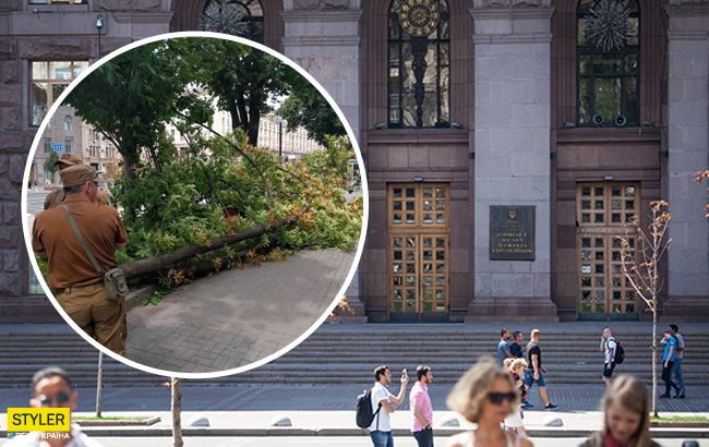 Вітер повалив величезний каштан на Хрещатику: фото НП під Київрадою