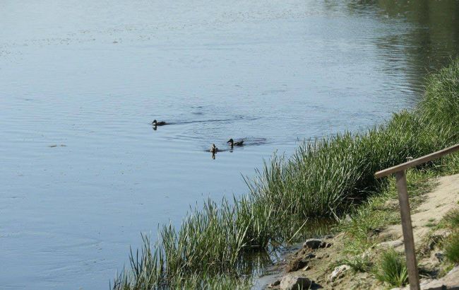 Забруднення рухається Десною. У Мінприроди назвали єдиний ризик для води в Києві