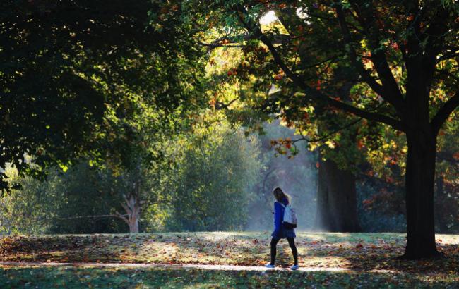 Погода на сегодня: в Украине солнечно, температура до +20
