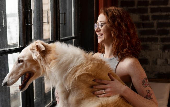 5 найстильніших довгошерстих порід собак