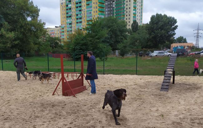 Четыре лапы и хвост: что предлагают в новых ЖК для жильцов с питомцами