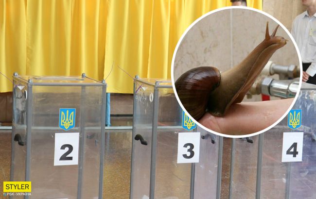 Под Запорожьем подросток украл избирательную урну, чтобы сделать домик для улиток (фото)