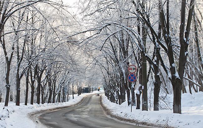 В Киеве изменят режим движения по Парковой дороге