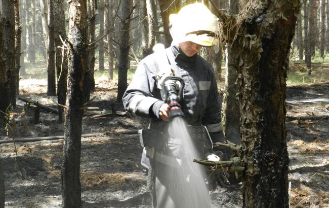 В Херсонской области возник пожар на территории Днепровского лесничества