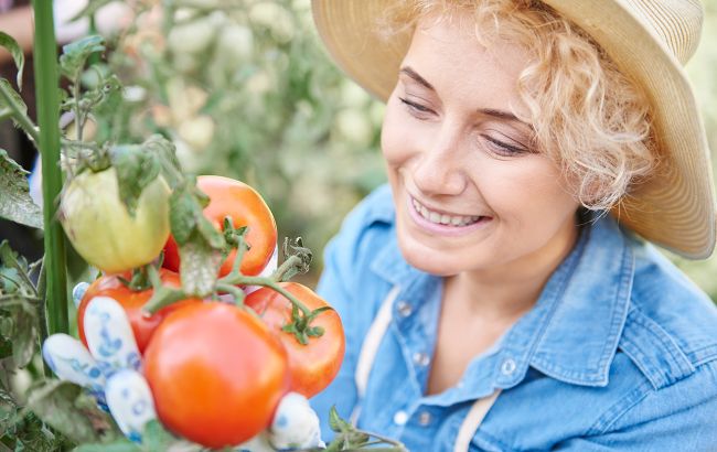Ніякої хімії! Цей простий спосіб підвищить урожай на городі в рази