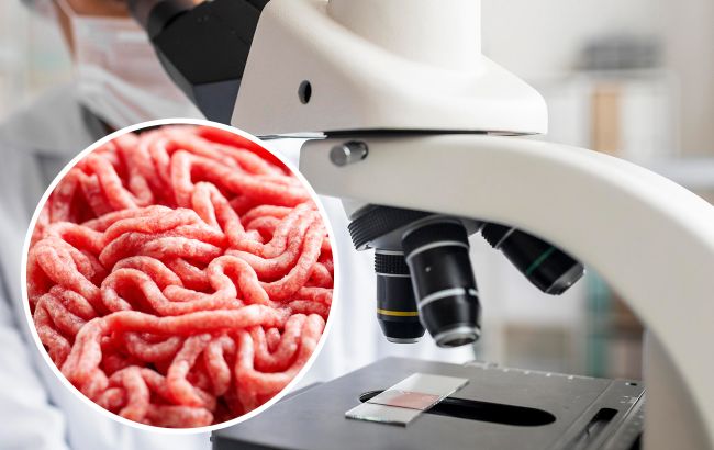 Химик проверил магазинный фарш на наличие сальмонеллы. Результат немного шокирует (видео)