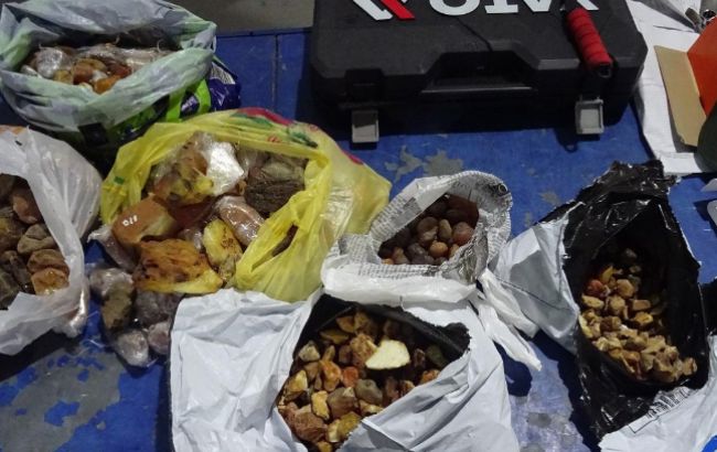 На границе с Польшей задержали мужчину с более 20 кг янтаря