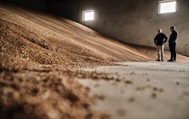 Польща хоче передати контроль над експортом українського зерна двом країнам ЄС