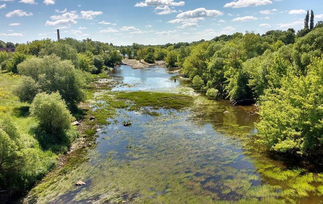 В Хмельницкой области в реке массово гибнет рыба: масляные пятна и запах аммиака (фото)