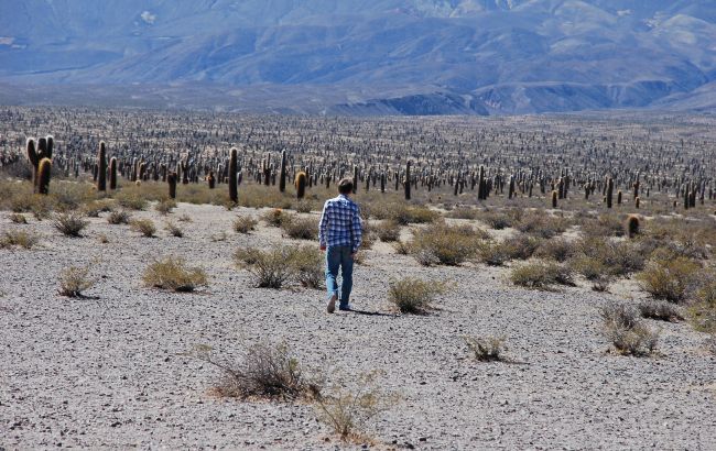 Світ протягом наступних п'яти років може перетнути критичну межу температури