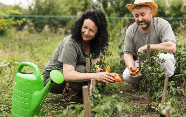 Что нужно сажать в июле: урожай успеете собрать к осени