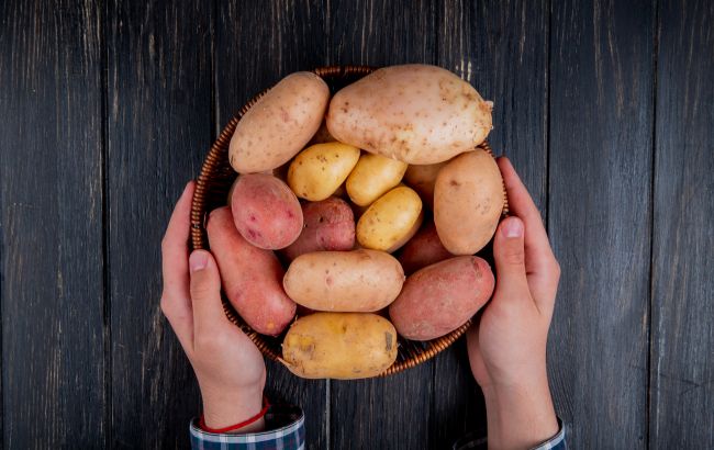 Как определить испорченный картофель и какие клубни нельзя употреблять в пищу