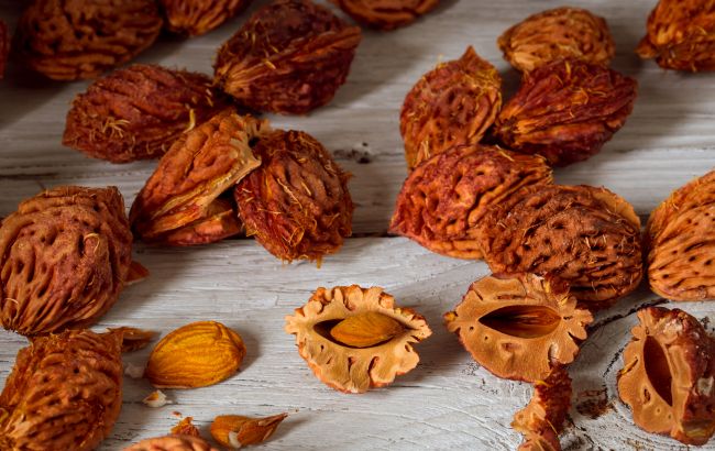 Зробити вдома сад: як виростити персик з кісточки