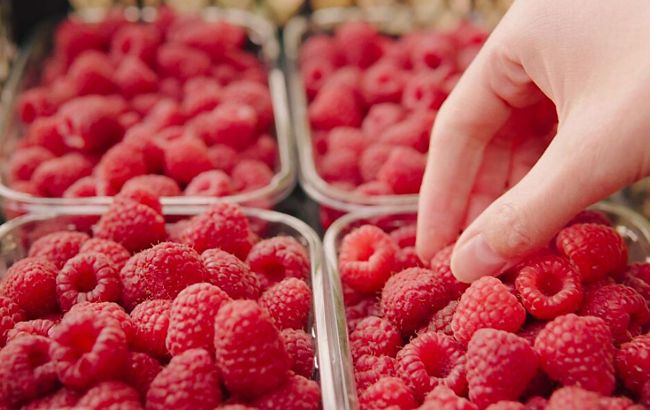 Польські фермери можуть відновити протести на кордоні. ЗМІ дізнались причину