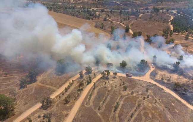 Израиль ударил по объектам ХАМАС в секторе Газа в ответ на запуск шаров со взрывчаткой