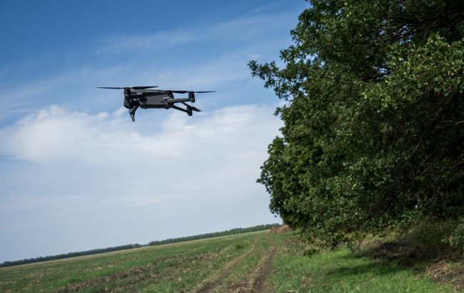 "Напевно, це бойові комарі". У ЗСУ висміяли "атаку" БПЛА на Севастополь