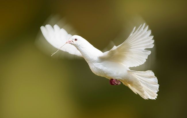 Благовещение 2025: красивые поздравления, стихи и открытки для родных и друзей