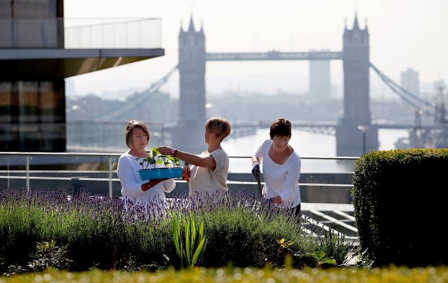 В Британии найдены особняки подсканкционных российские олигархов на 1 млрд долларов, - ВВС