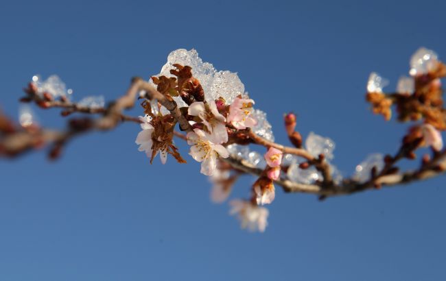 Синоптик рассказала, когда в Украине потеплеет