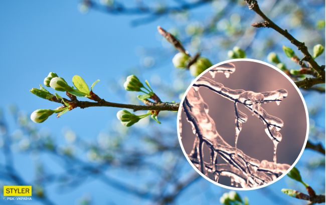 Зима не вернется: синоптики ошеломили прогнозом