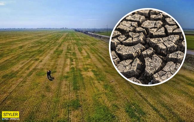 Будет голод: под Одессой люди молят о помощи